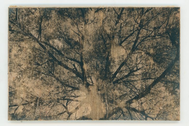 Wood Transfer