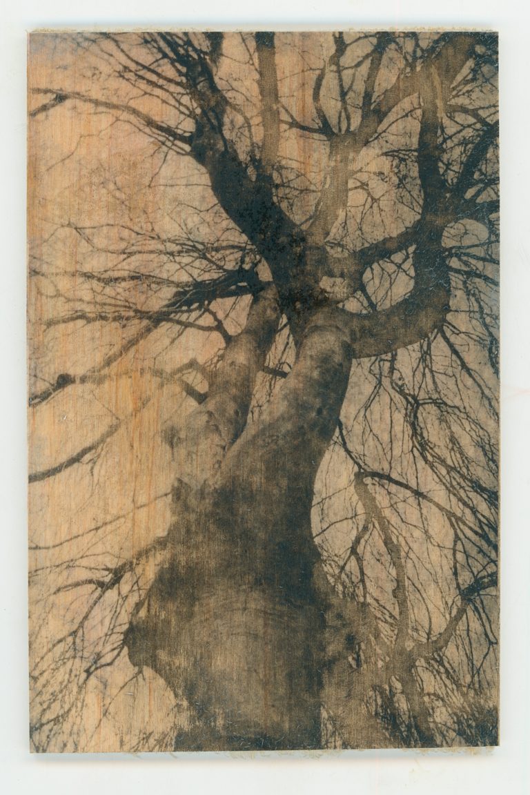 Wood Transfer