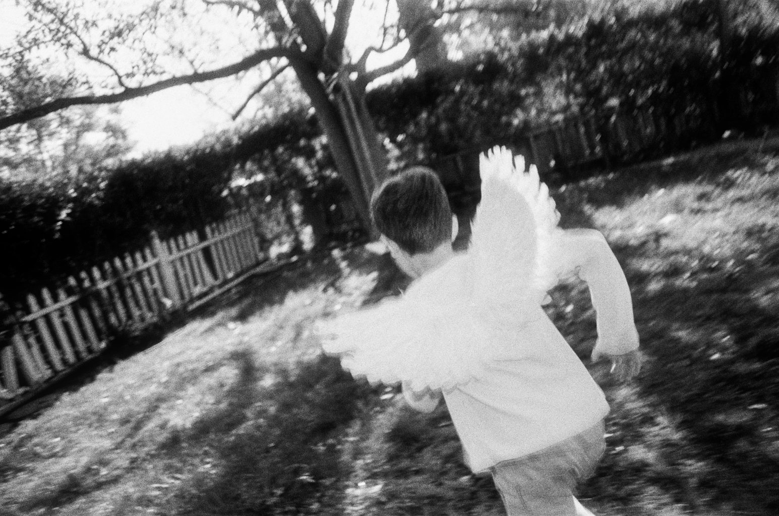 Angel_Wings_Low_Contrast_01 copy