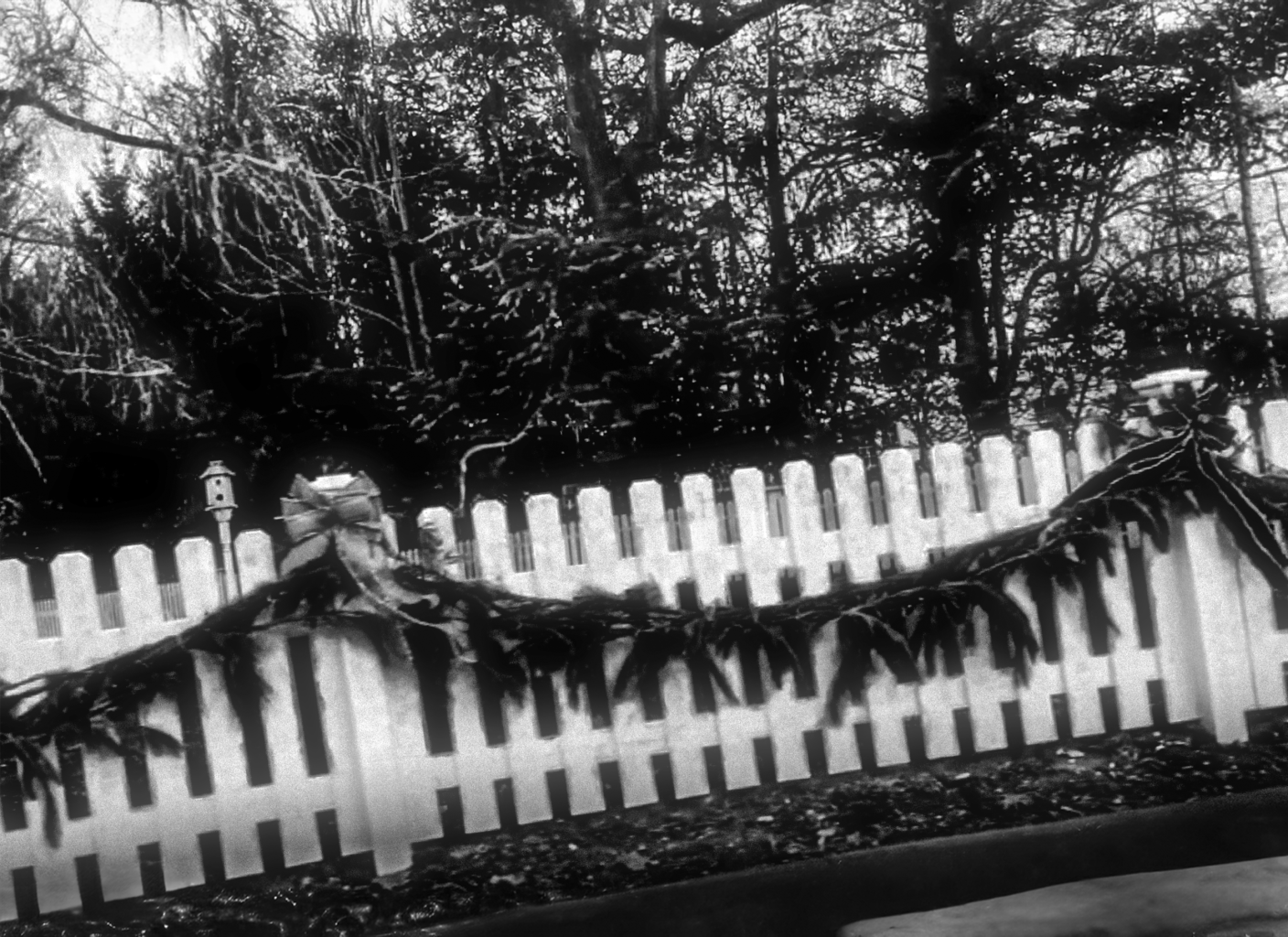 Fence_Low_Contrast_04