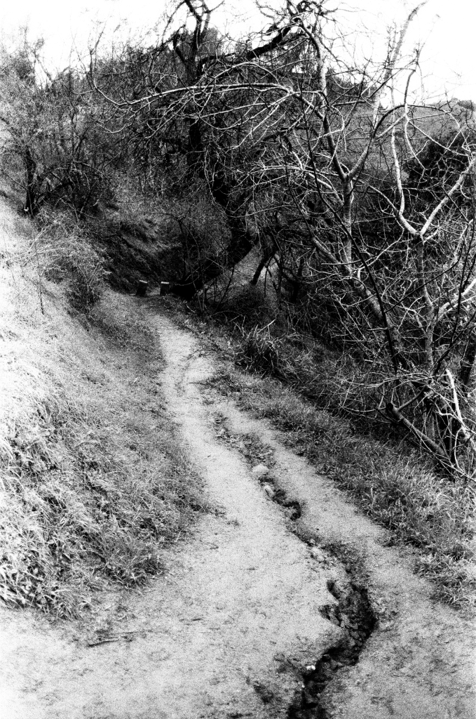 Trail_no_edit_01